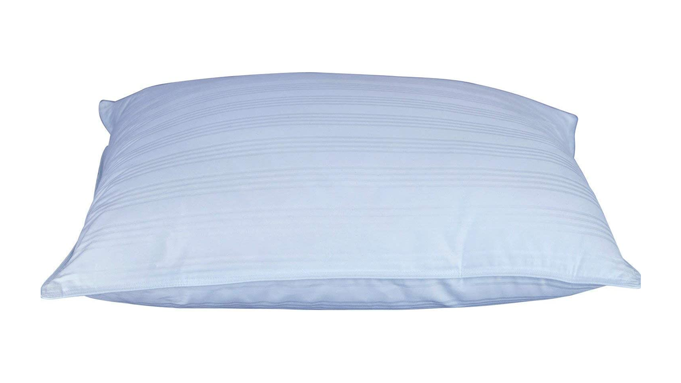 2. DOWNLITE Extra Soft Down Pillow 